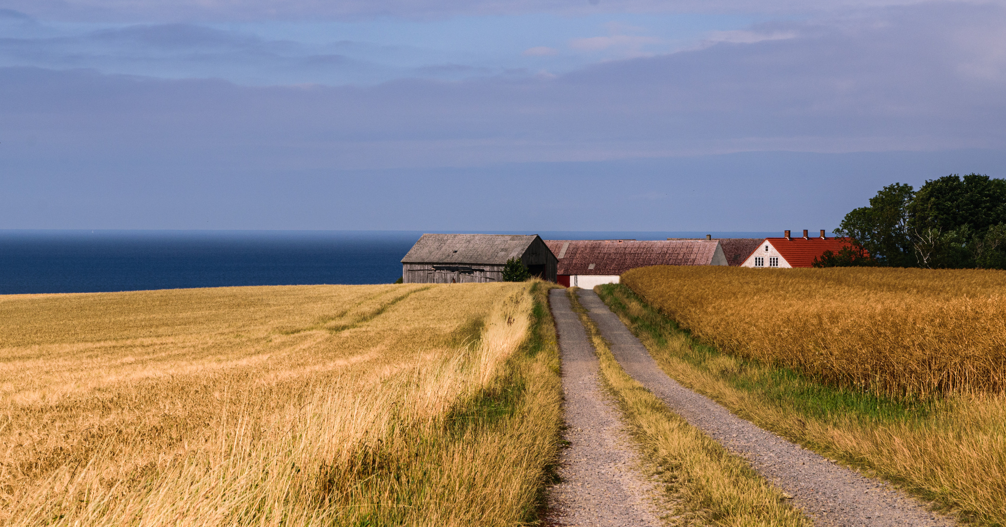 Landschaft auf Bornholm