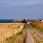 Landschaft auf Bornholm