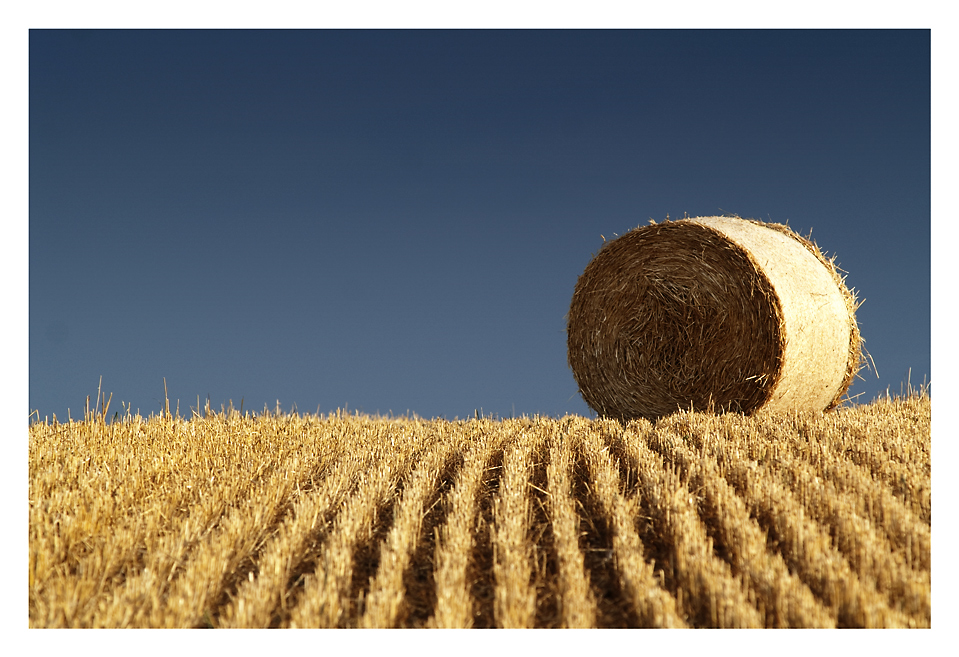 Landschaft - auf das wesentliche reduziert