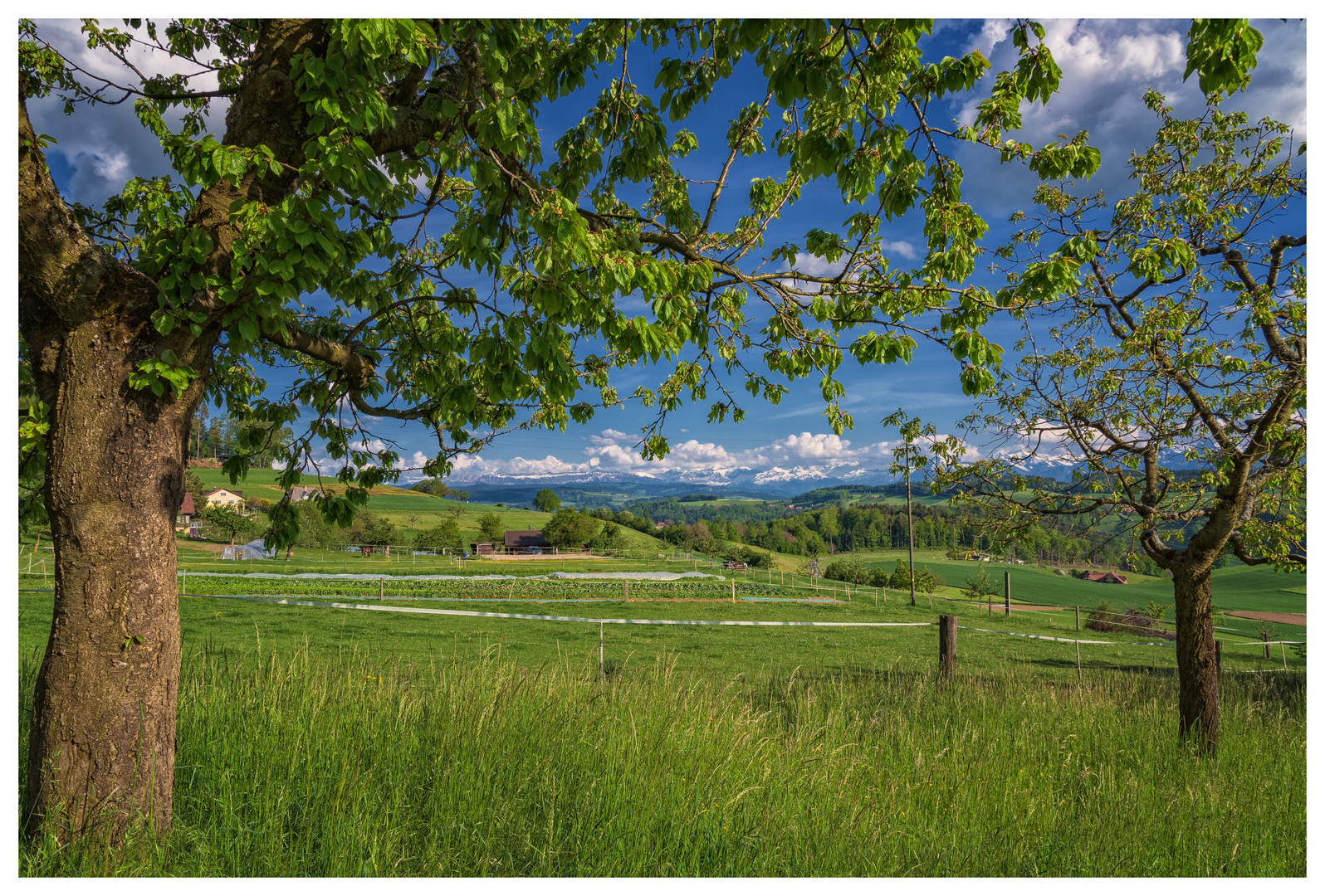 Landschaft auf dem Ferenberg bei Bern