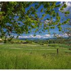 Landschaft auf dem Ferenberg bei Bern