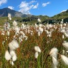 Landschaft auf dem Gotthardpass