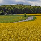 Landschaft auf dem Weg nach Zinnwald in der Nähe von Glashütte im Müglitztal