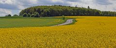 Landschaft auf dem Weg nach Zinnwald in der Nähe von Glashütte im Müglitztal