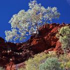 Landschaft auf dem Weg zu den Fortescue Falls, Karinji Nationalpark, Australien (West)