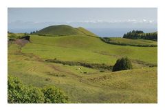 Landschaft auf den Azoren.