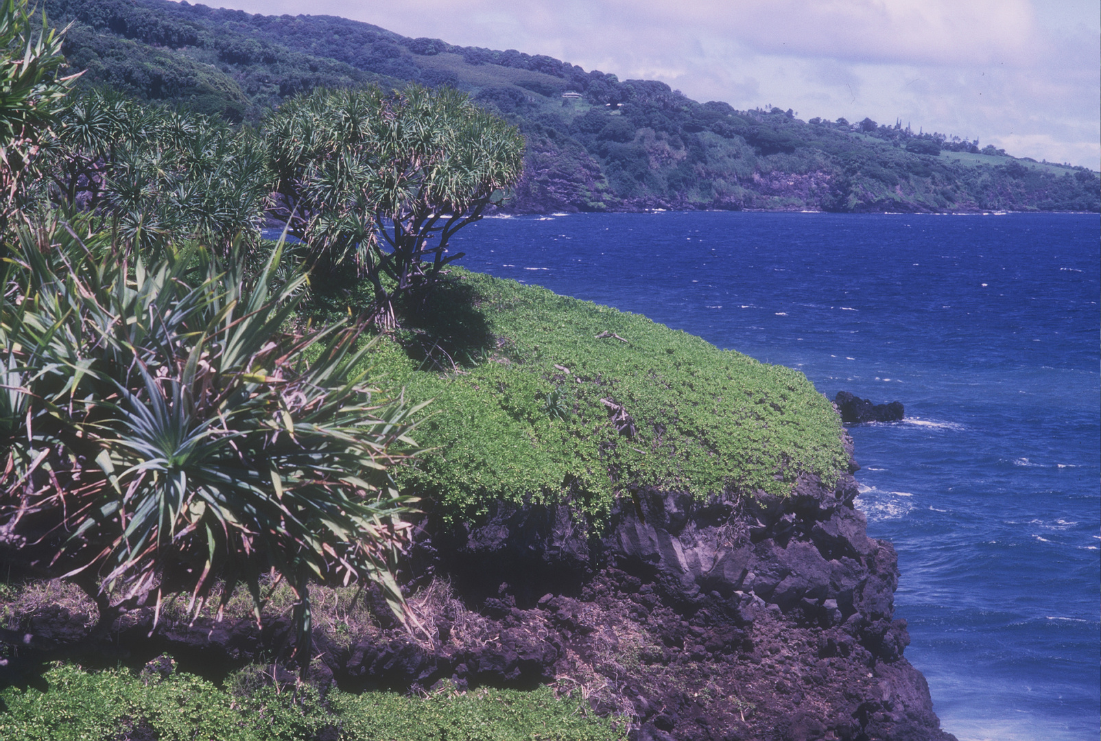 LANDSCHAFT AUF DER INSEL MAUI - HAWAII