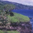 LANDSCHAFT AUF DER INSEL MAUI - HAWAII