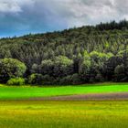 Landschaft auf der Schwäbischen Alb