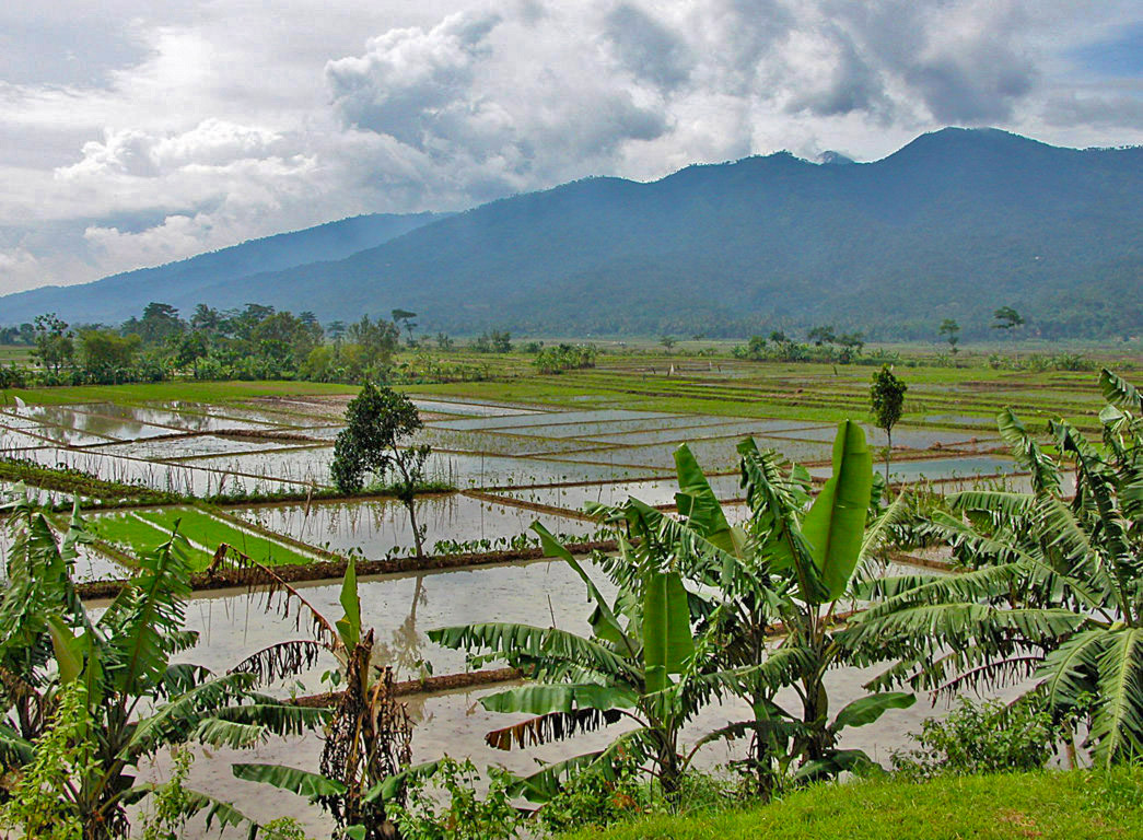 Landschaft auf Java - Indonesien