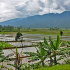 Landschaft auf Java - Indonesien