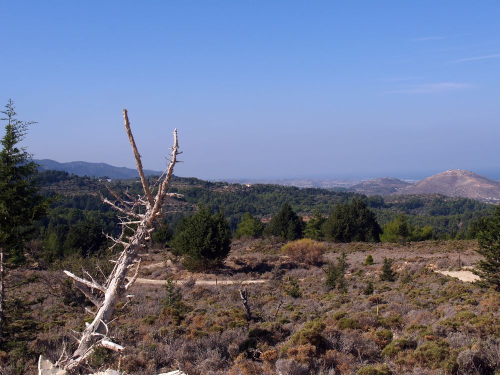 Landschaft auf Kos