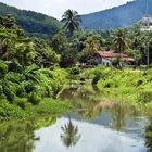 Landschaft auf Langkawi