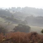 Landschaft auf Mallorca