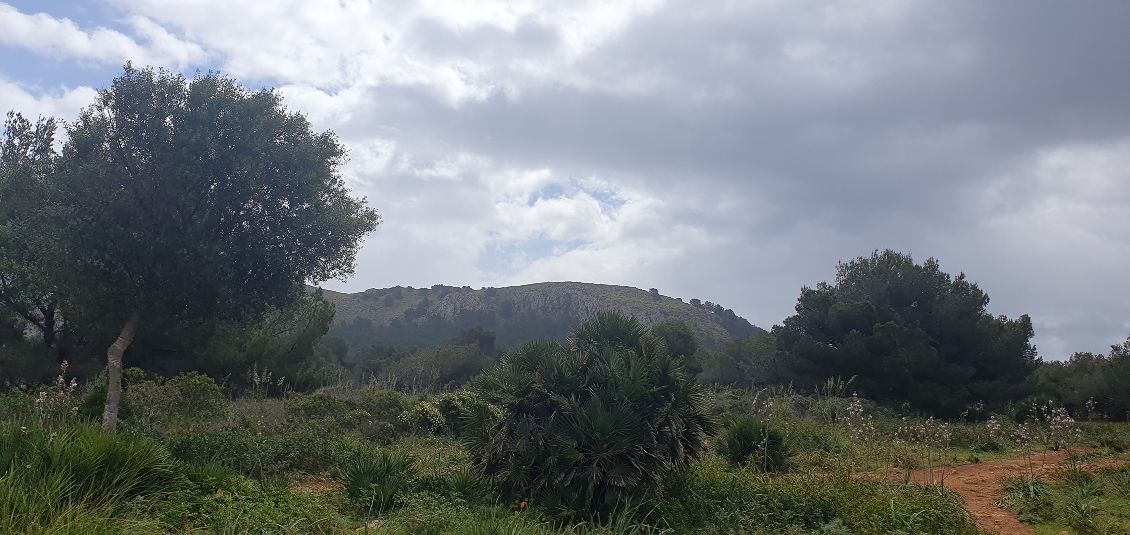 Landschaft auf Mallorca