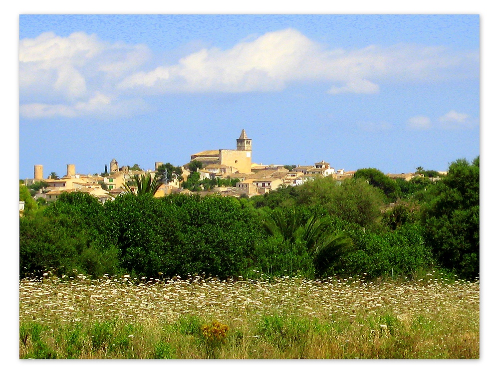 Landschaft auf Mallorca