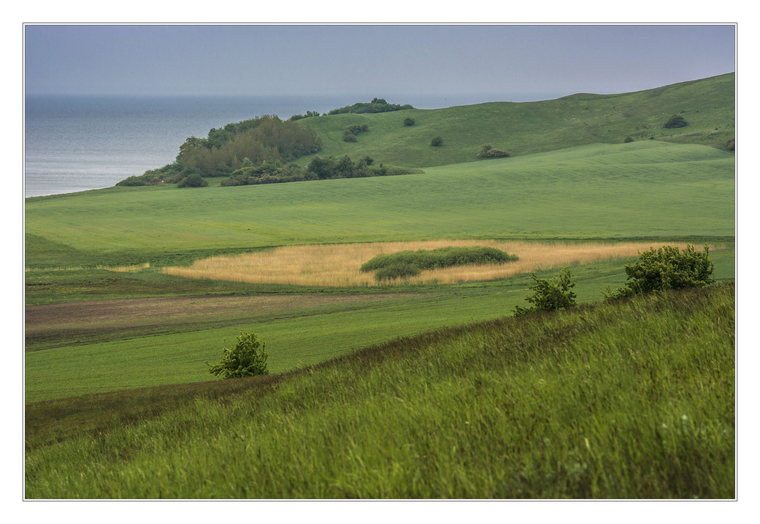 Landschaft auf Mönchgut I