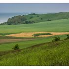 Landschaft auf Mönchgut I