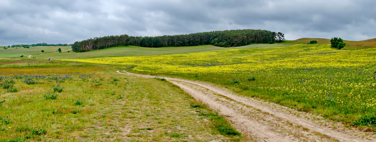 Landschaft auf Mönchgut/Rügen