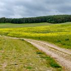 Landschaft auf Mönchgut/Rügen