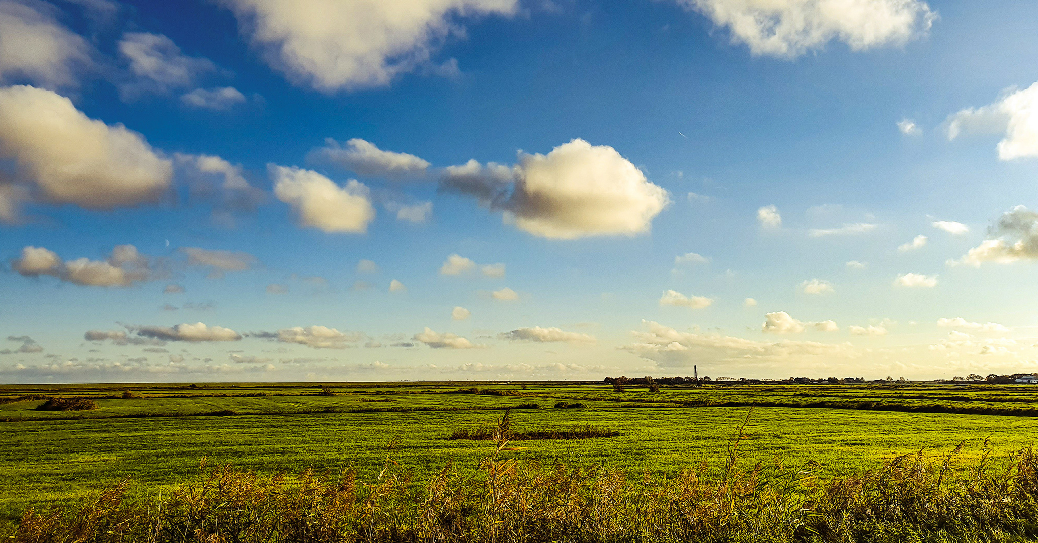 Landschaft auf Pellworm #1