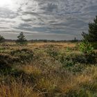 Landschaft auf Römö