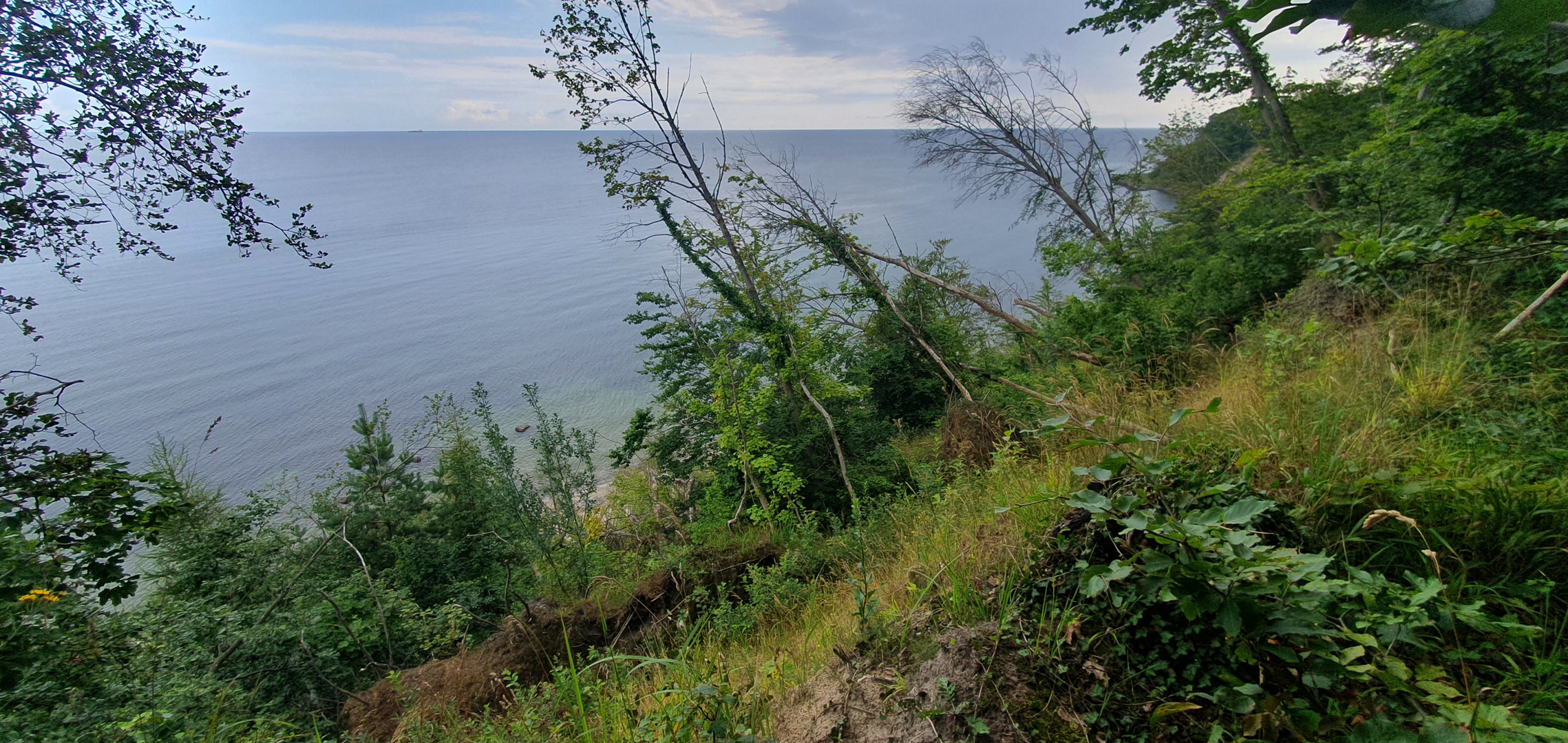 Landschaft auf Rügen