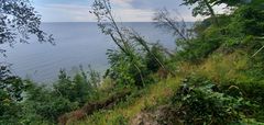 Landschaft auf Rügen