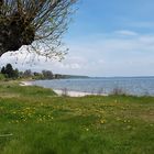 Landschaft auf Rügen (1)