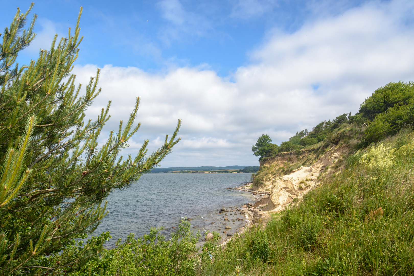 Landschaft auf Rügen