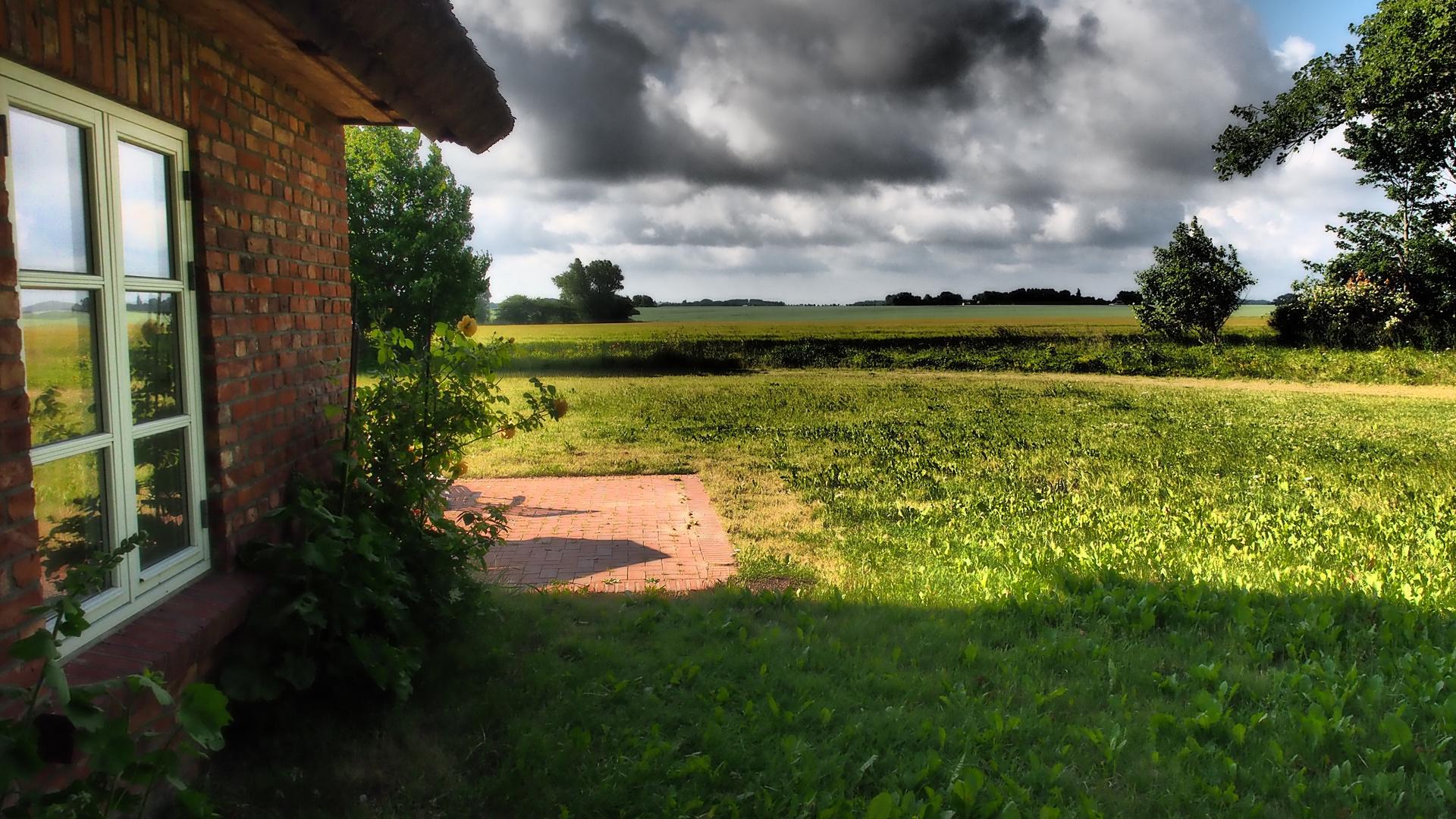 Landschaft auf Rügen