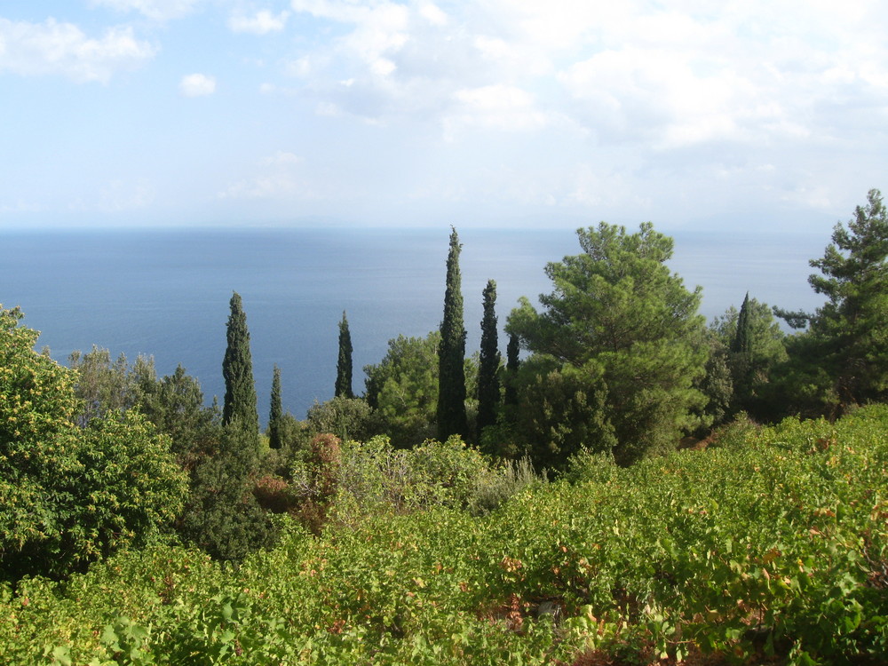 Landschaft auf Samos 2
