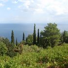 Landschaft auf Samos 2