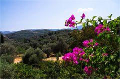 Landschaft auf Samos