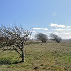 Landschaft auf Samsö