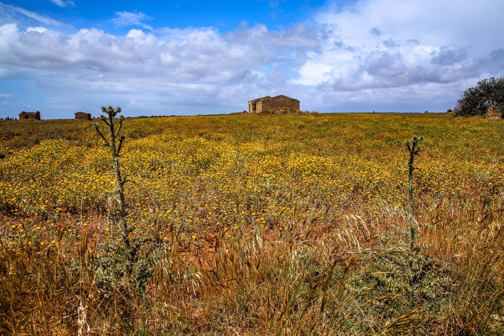 Landschaft auf Sizilien 1