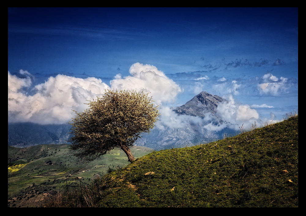 Landschaft auf Sizilien III