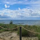 Landschaft auf Usedom