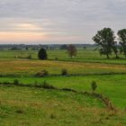 Landschaft auf Usedom