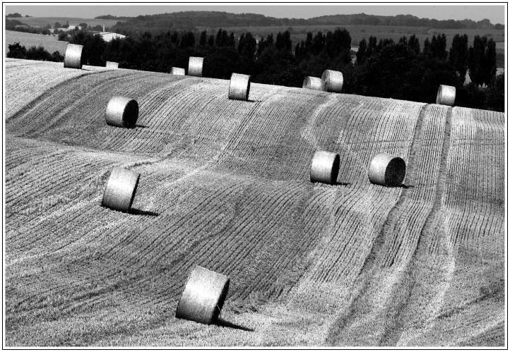 Landschaft auf Zeit