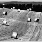 Landschaft auf Zeit