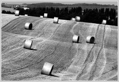 Landschaft auf Zeit