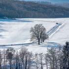 Landschaft aus dem Wiener Umland