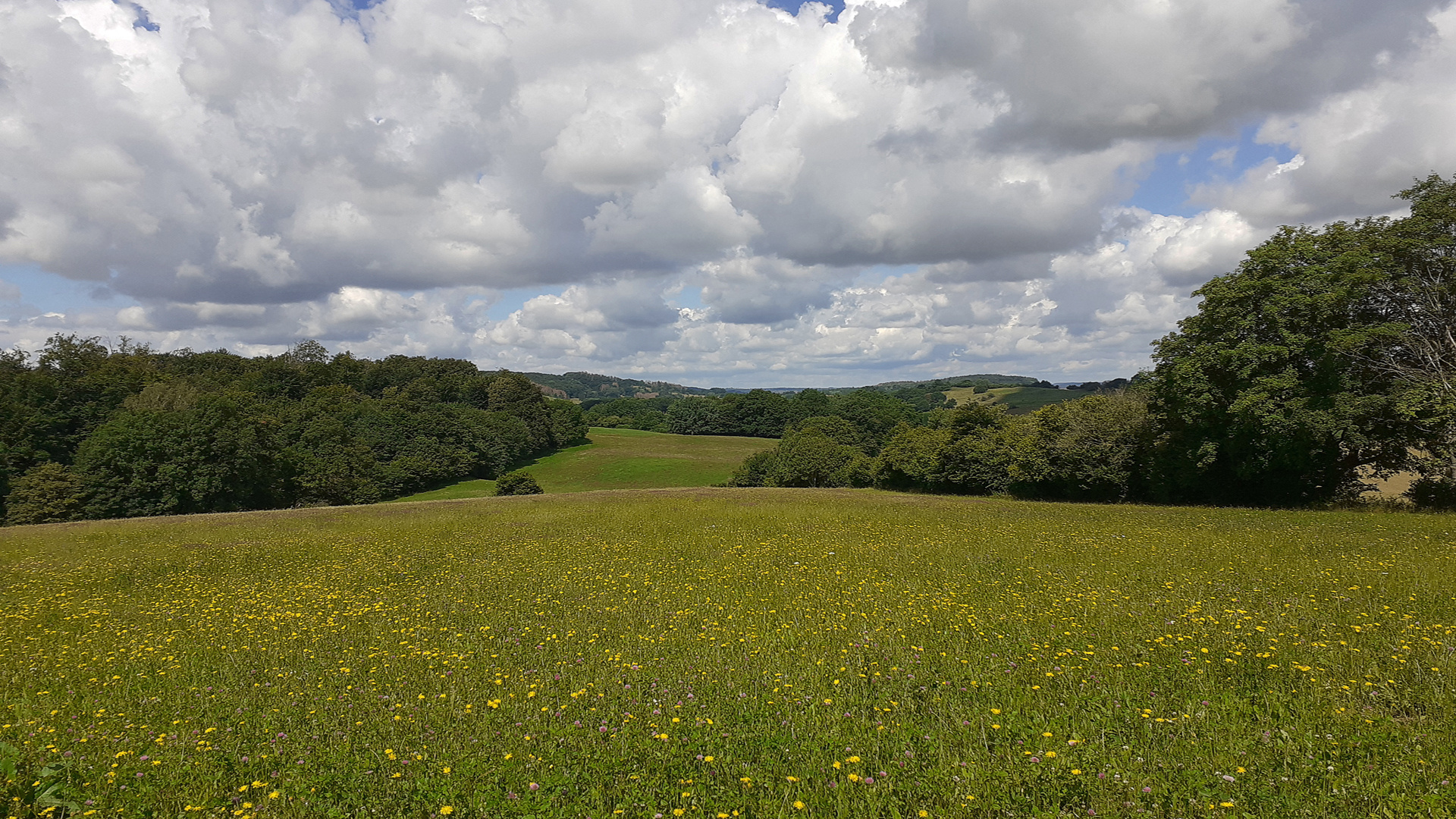 Landschaft