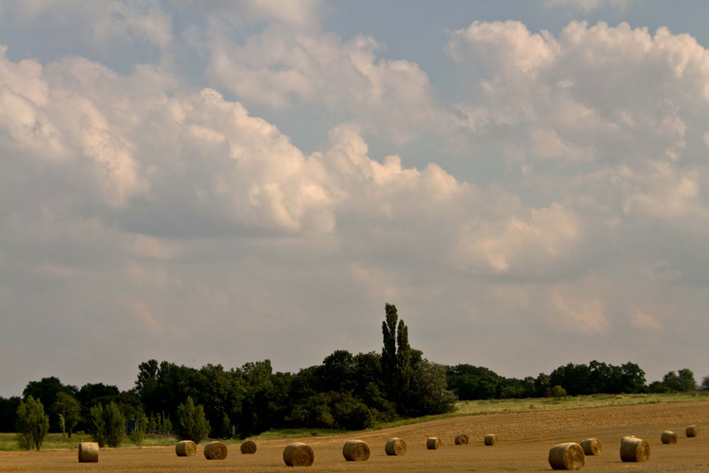 Landschaft