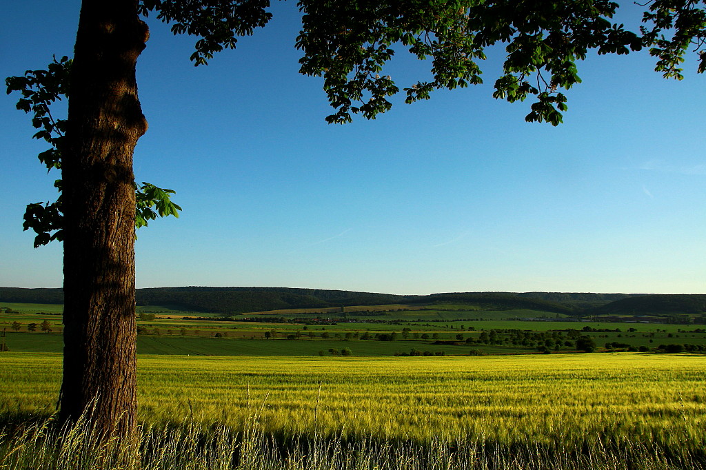 Landschaft