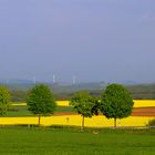 Landschaft