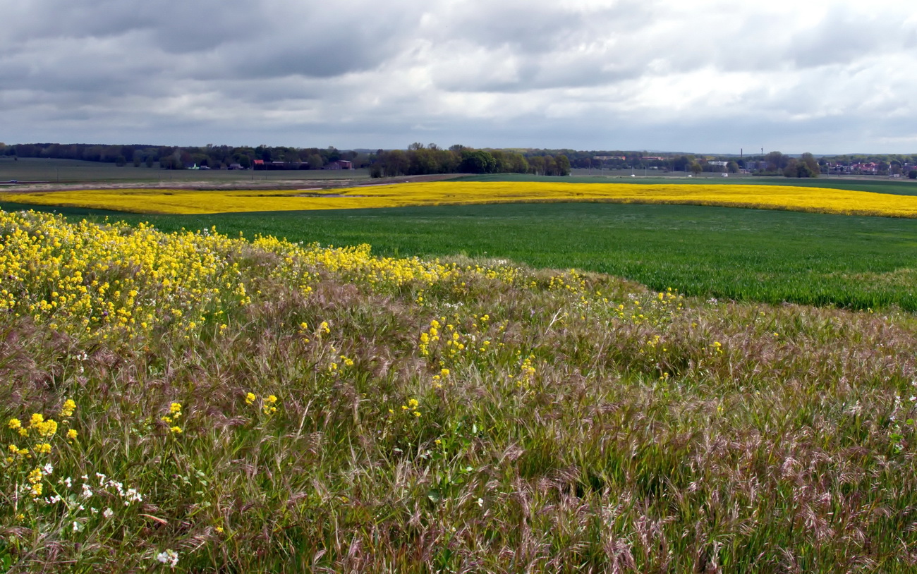 Landschaft