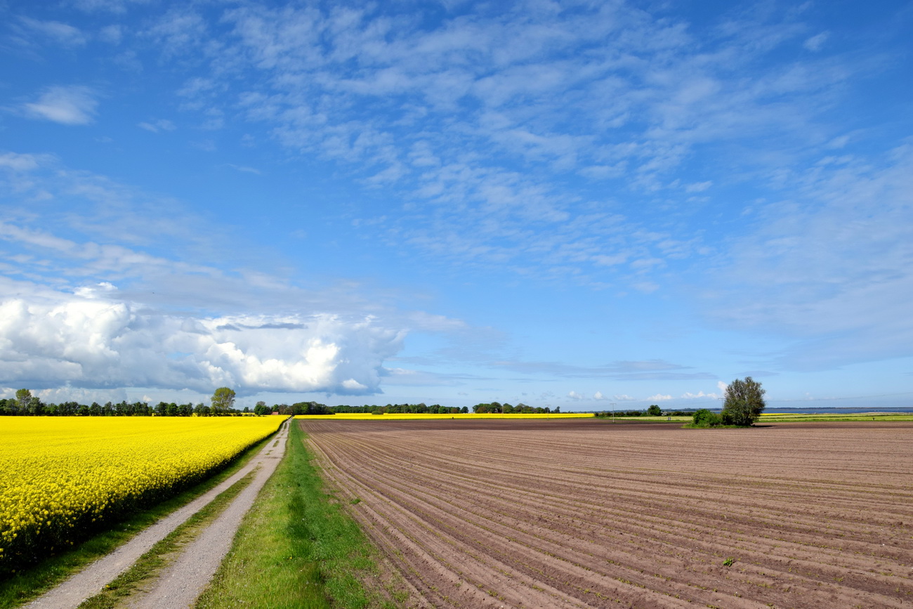 Landschaft