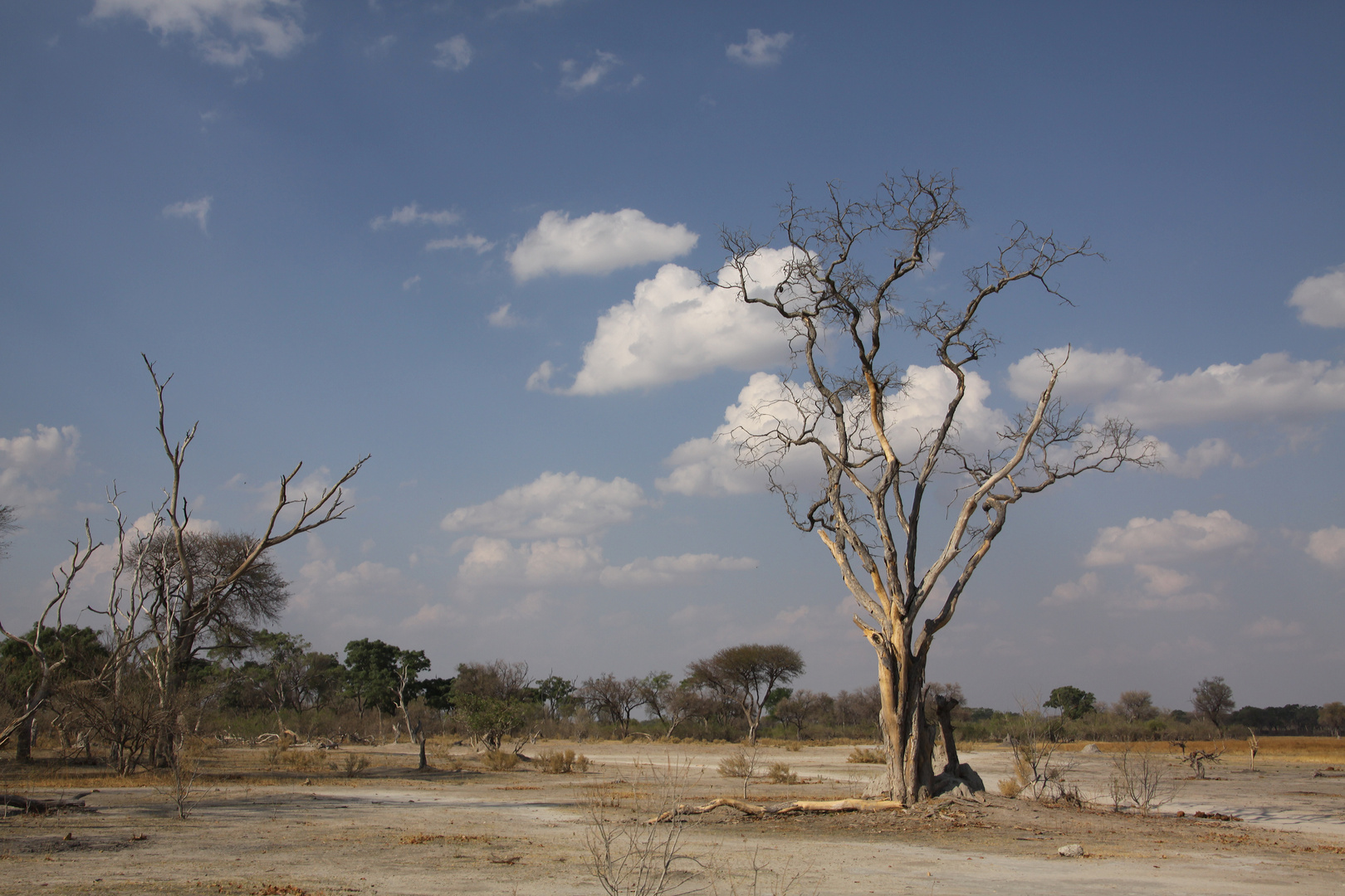 Landschaft